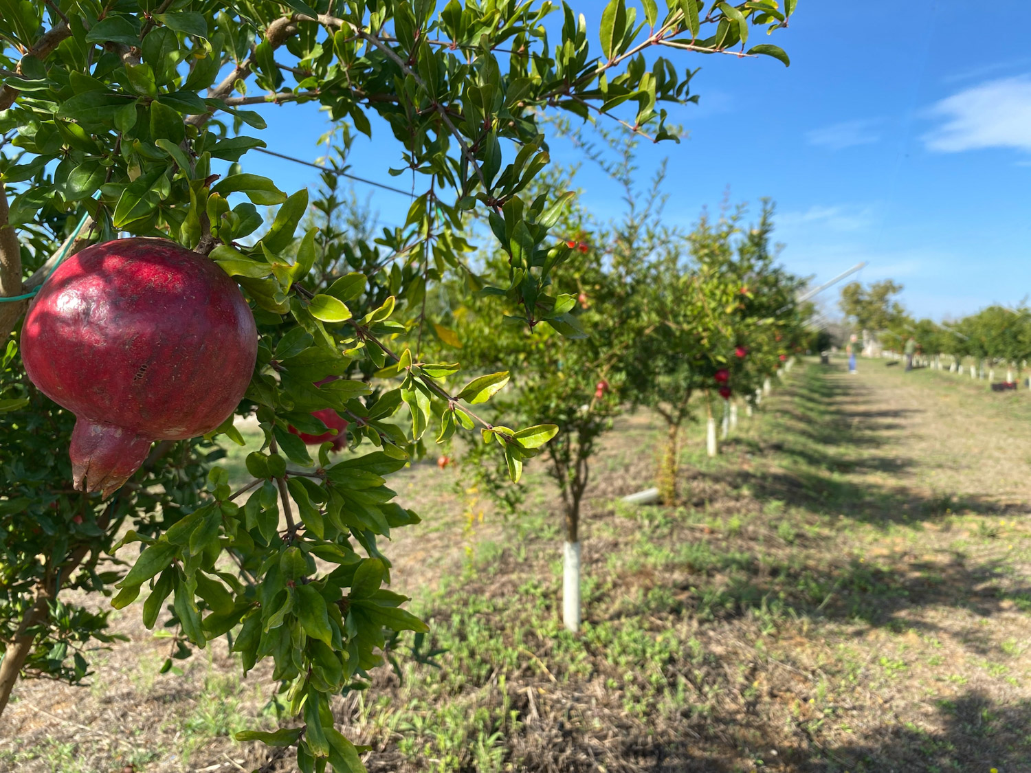 TerradiOria Galerie 07