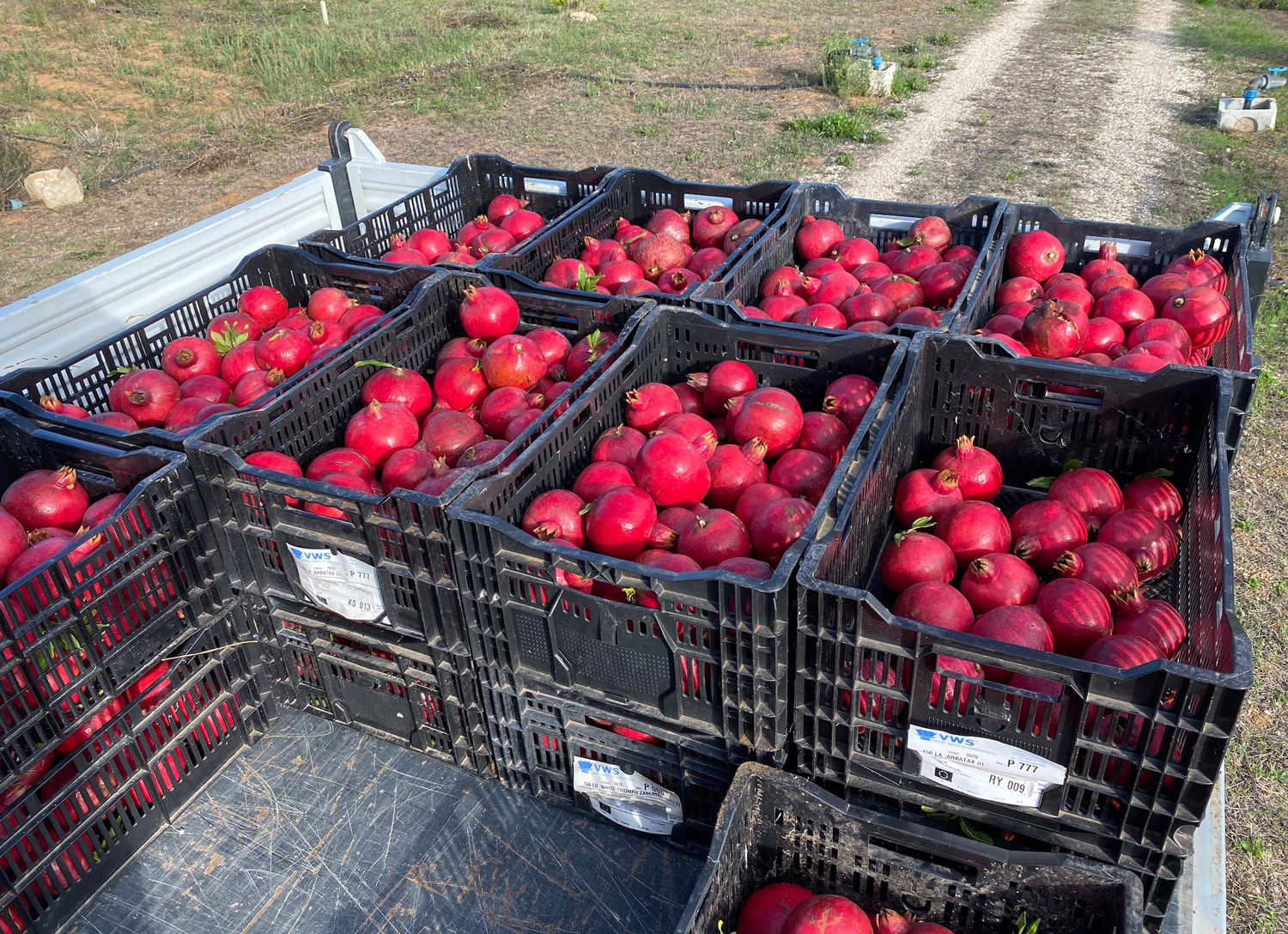 TerradiOria Produits Basdepage