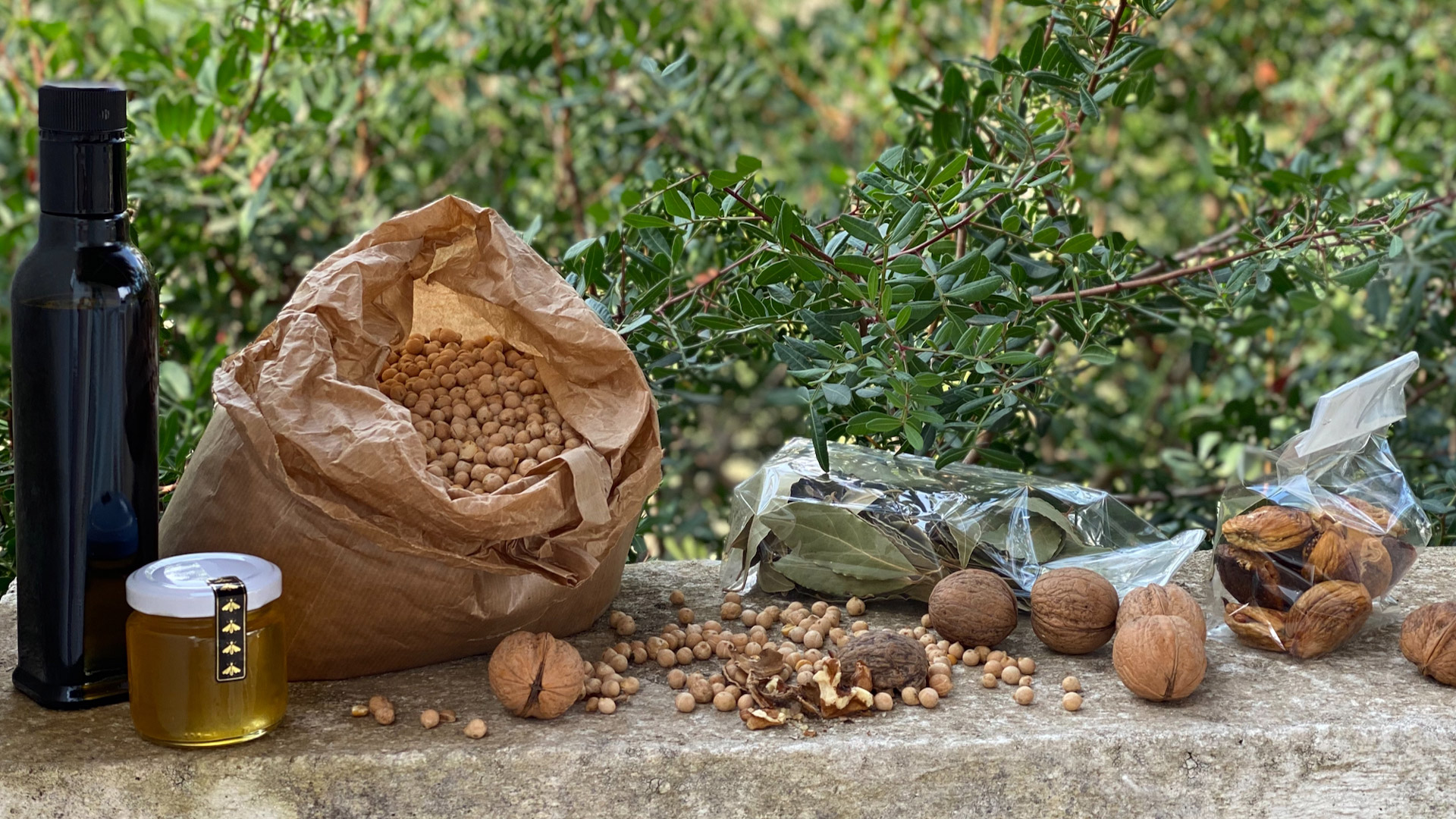 TerradiOria Produits Header