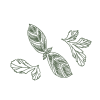 TerradiOria agriculture responsable