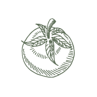 TerradiOria authneticite