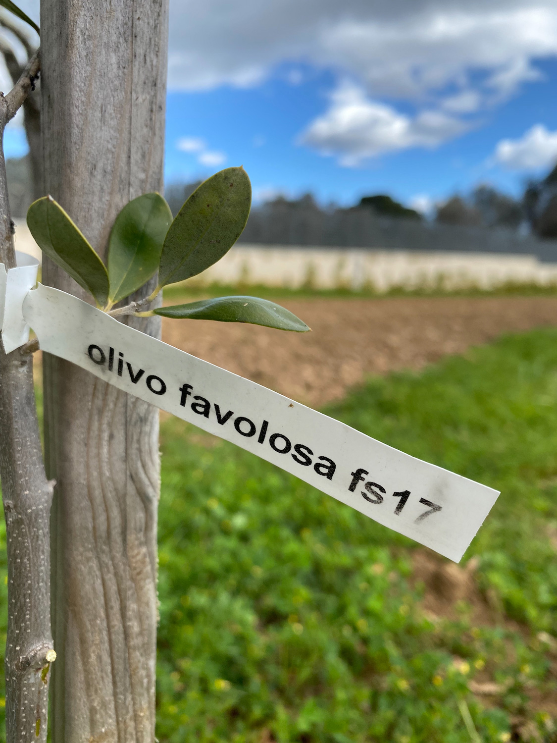 TerradiOria Ferme pres 2