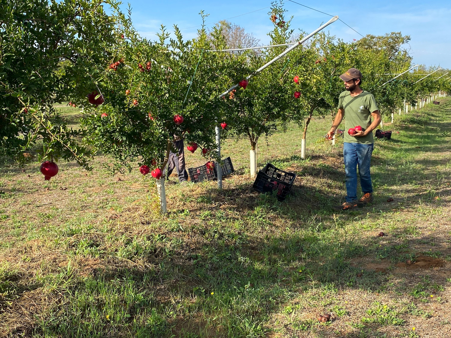 TerradiOria Galerie 09