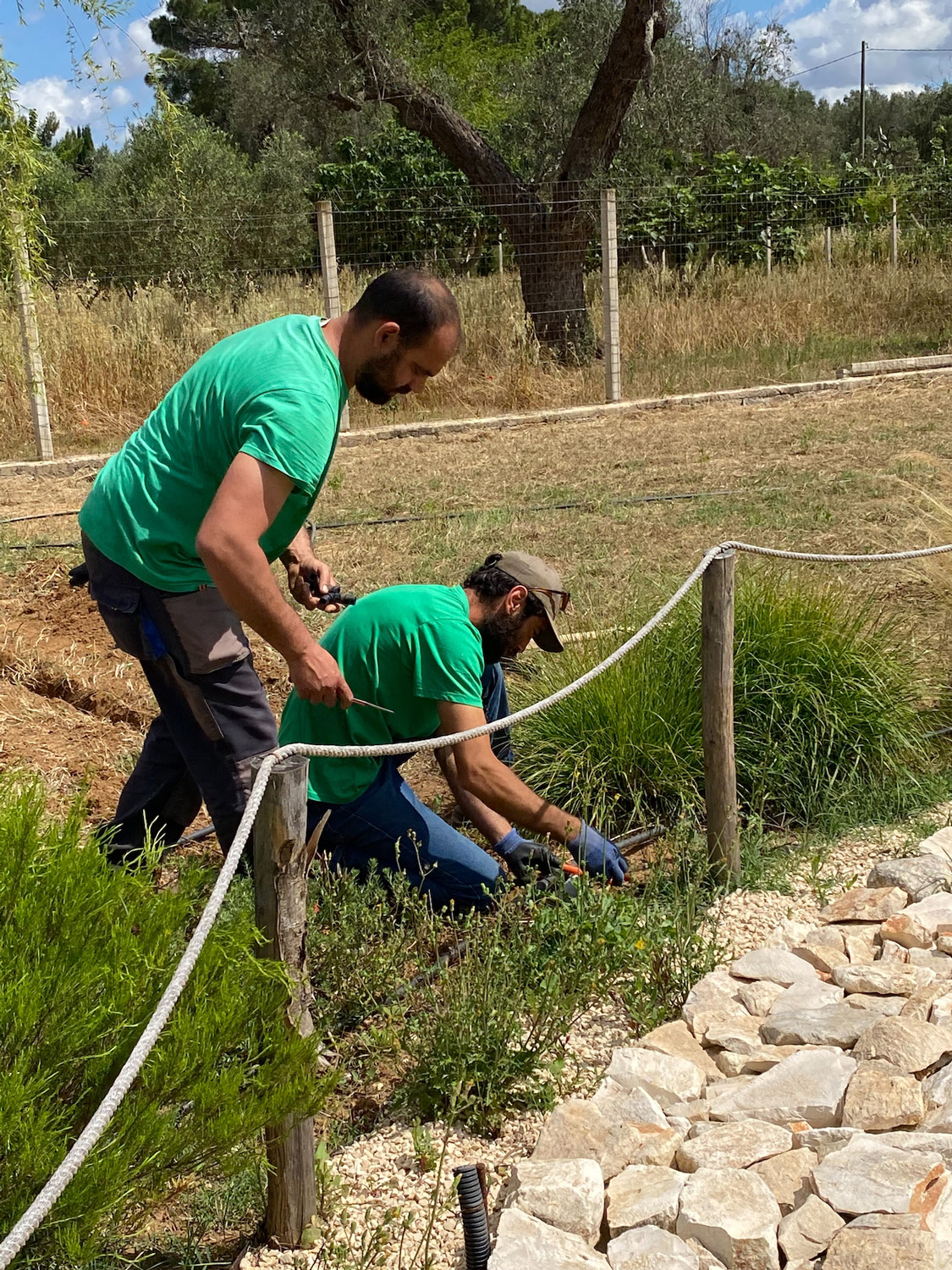 TerradiOria Histoire agriculture durable