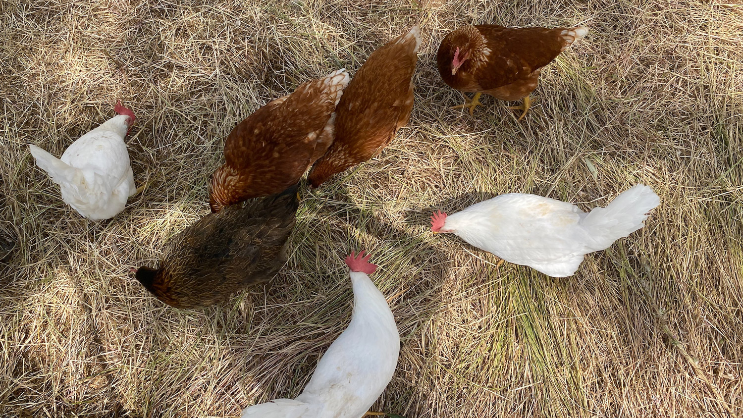 TerradiOria Pointsdevente Basdepage