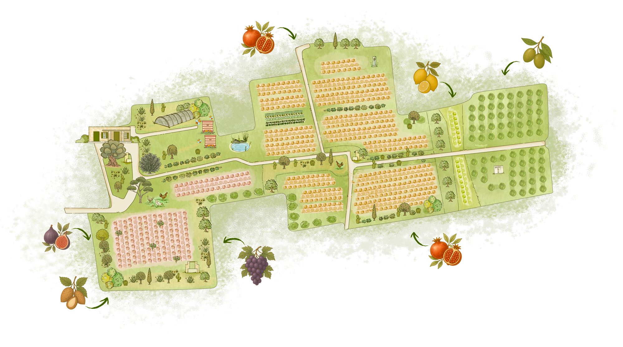 terra di oria v3 11 07 25